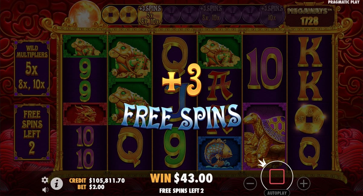 Gambling info site - 5 lions megaways 2